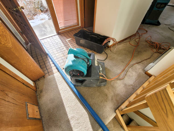 Best Local water damage restoration  in Macopin, NJ