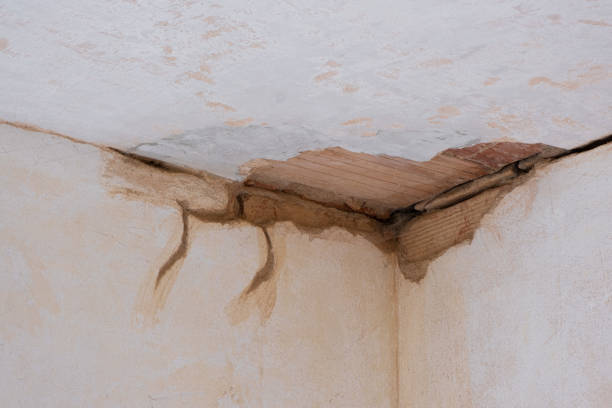 Best 24-hour water damage restoration  in Macopin, NJ