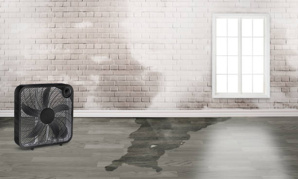 Best Sewage cleanup and water damage restoration  in Macopin, NJ
