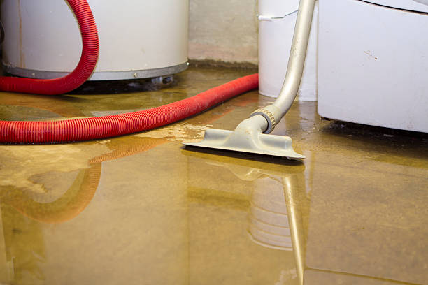 Best Flooded house restoration  in Macopin, NJ